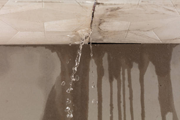 Professional Flood Damage Cleanup technician working in Bridgeville, DE